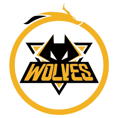 汪顺的四种 汪顺的四种